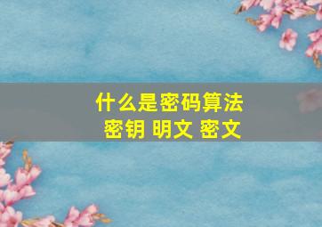 什么是密码算法 密钥 明文 密文